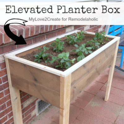 Plant_Box2